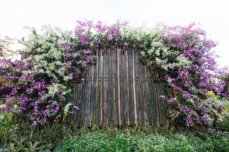 Vertical gardening in the park.の写真素材
