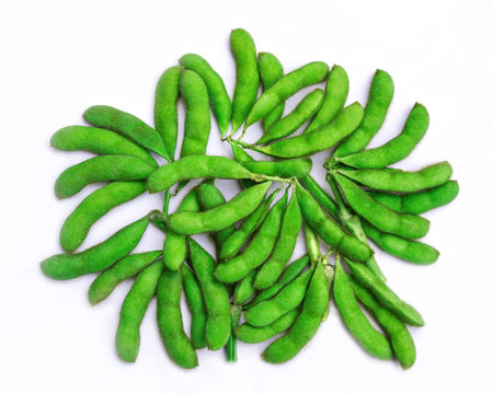 green soybeans  on white background.の写真素材