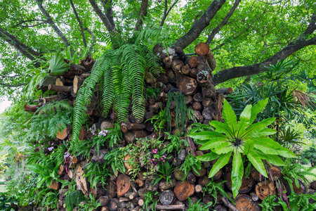 Vertical gardening in the park.の写真素材