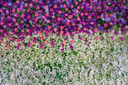 The vertical garden with beautiful flowers in the park.