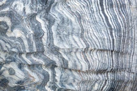 Stone pattern for the background.の写真素材