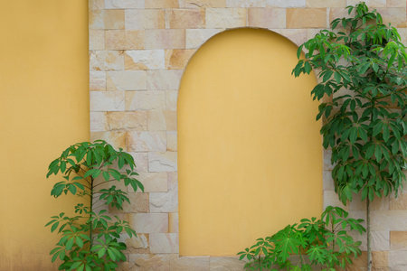 Plaster walls with patterns and trees for the backgroundの写真素材