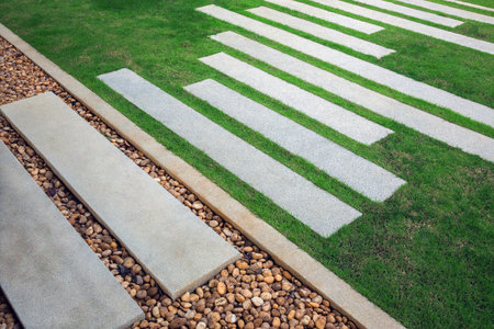 pathway on the lawn in the garden.の写真素材