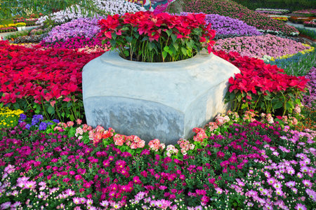 Colorful vertical gardens in the park.の写真素材
