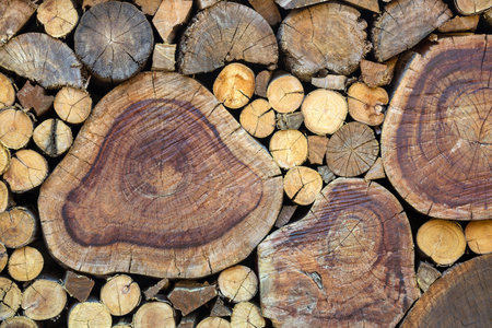 Wooden wall pattern for the background.の写真素材