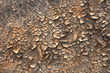 colorful cracked clay pattern for background.