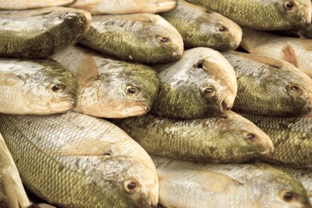 Fresh fish on ice on the market 