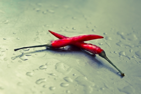wet red chilli peperの写真素材