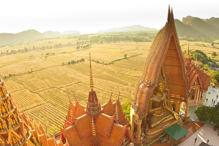 The golden Buddha Image, Wat Tum Sue, Thailandの写真素材