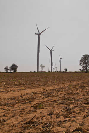 Eco power, wind turbines with agricultural field