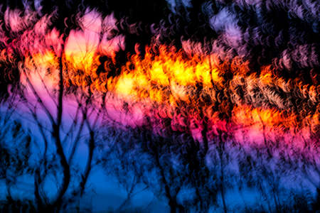 Blur picture of  bamboo silhouette and sunset at khitchakut mountainの写真素材