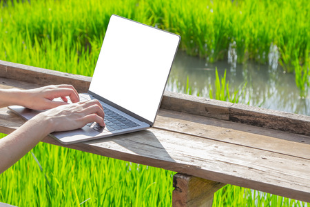 woman using laptop with green of field-business and people concept.の写真素材
