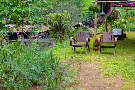 Two wooden chairs in gardenの写真素材