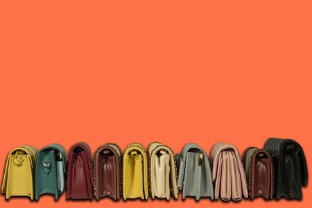 Set of lady hand bag on isolated background and clipping path.