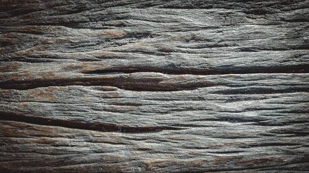 Wood Surface Texture