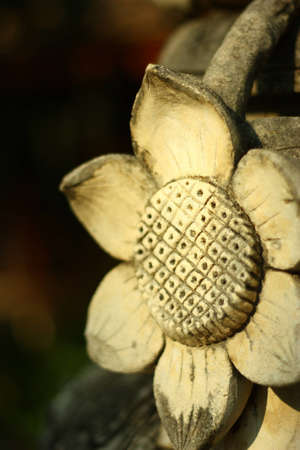 Flower modelの写真素材