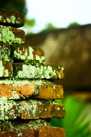 Work of artの写真素材