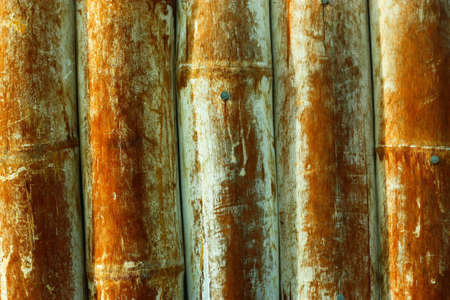 Bamboo designの写真素材