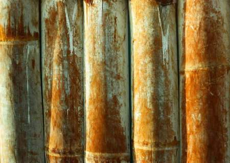 Bamboo designの写真素材