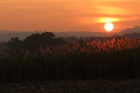 sunsetの写真素材