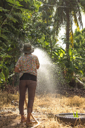 The gardener was watering the tree.の写真素材