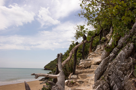 The way to the hilltop.