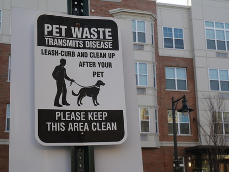 sign saying you must clean up after your dogの写真素材