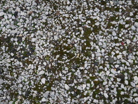 Gravel Stone or Pebble Road Street, Background and Textured.の写真素材