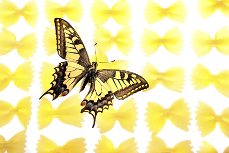 swalowtail butterfly flying over farfalla  butterfly  pastaの写真素材