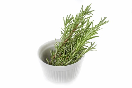 studio closeup photo of rosemary branches in white ceramic bowl on white backgroundの写真素材