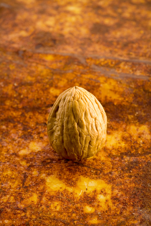 nutshell on rusty background