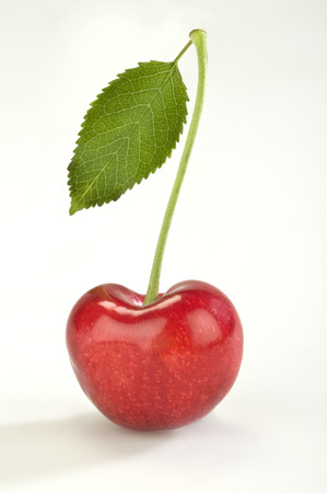 Single cherry on a white backgroundの写真素材