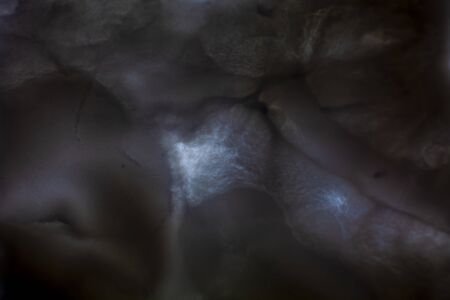 backgrouds made fron taking a photo of pigment in nylon bag on lighted backgroundの写真素材