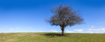 panoramic view on Soca valley where the river is partly seen on the right down sequence of a photo....
