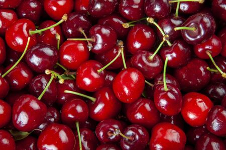 Studio  Detail Photo of Plenty of Fresh Nice Cherries on Pileの写真素材