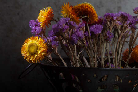 Still Life Close up Photo of Bouquet of Vivid Dried  Flowers on Dark background in Horizontalの写真素材