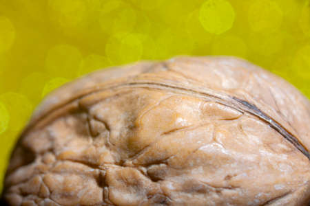 Macro Shot of Oval Part of  Nut Shell on Yellow Bokeh Background