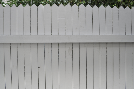 The fence white green tree background.の写真素材