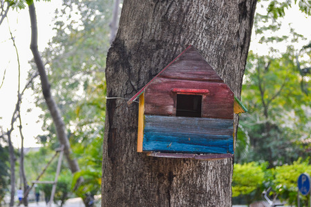 Colored Bird house on the treeの写真素材