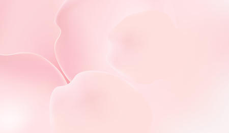 Pink rose petals in soft color backgroundのイラスト素材