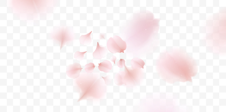Pink sakura falling petals vector background. 3D romantic illustrationのイラスト素材