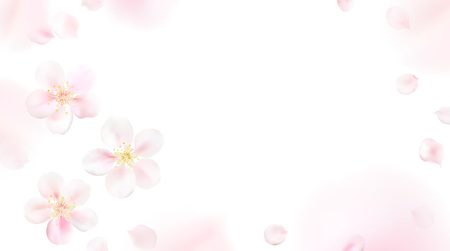 White pastel background with spring flower petals. Cherry blossom petals illustrationのイラスト素材