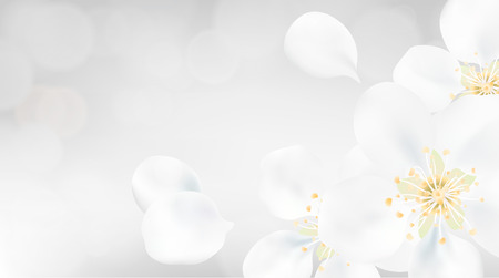 White color pastel spring macro background. apple tree flower blossom petals illustrationのイラスト素材