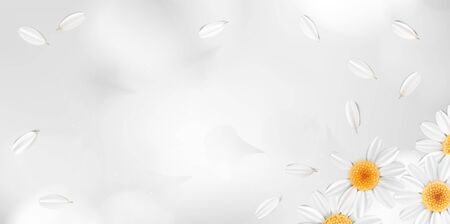 Soft pastel color floral 3d illustration on white background. Yellow wild camomile flowers and petals watercolor style vector illustration template. Eco organic patternのイラスト素材