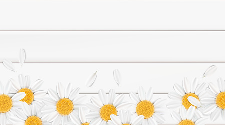 Soft pastel color floral 3d illustration on white background. Yellow wild camomile flowers and petals watercolor style vector illustration template. Eco organic patternのイラスト素材