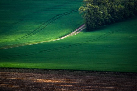 Green spring field abstract eco background. Summer hill wallpaper.の写真素材