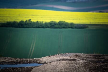 Green spring field abstract eco paysage, countryside background. Summer agriculture panorama wallpaper.の写真素材