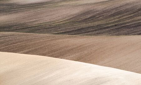 spring sown field abstract eco background. Summer hill minimal nature wallpaper. South Moravia, Czech Republicの写真素材