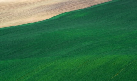 Green spring field abstract eco background. Summer hill color nature wallpaper. South Moravia, Czech Republicの写真素材