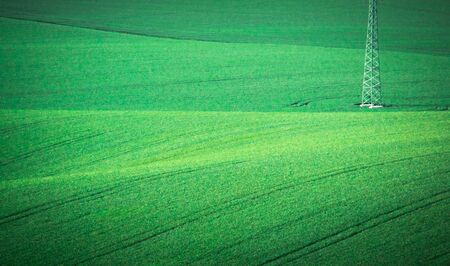 Green spring sown field abstract eco background. Summer hill minimal nature wallpaper. South Moravia, Czech Republicの写真素材